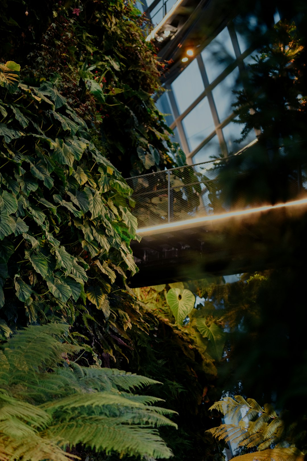 Sustainable Green Building